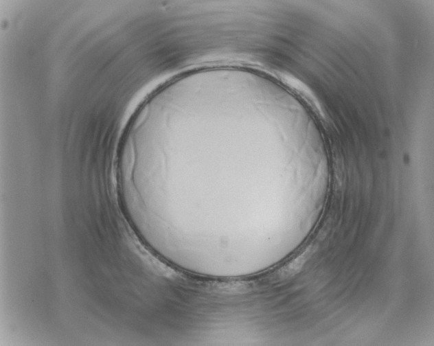 X0000071381288200607212203