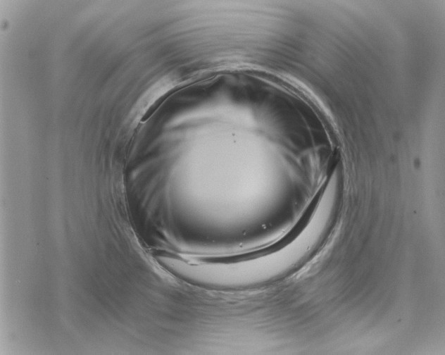 X0000071381289200607212203