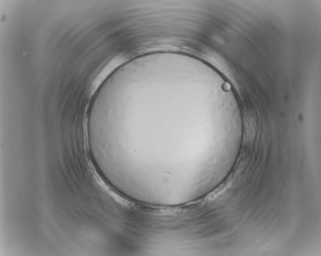 X0000071381290200607212203