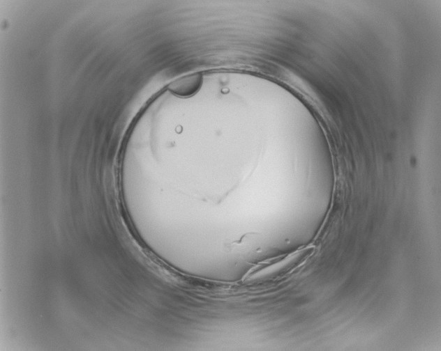 X0000071381291200607212203