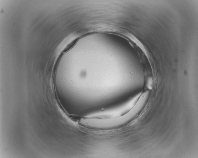 X0000071381293200607212203