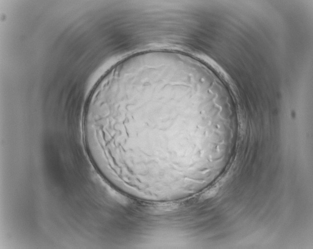 X0000071381294200607212203