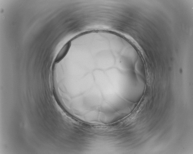 X0000071381295200607212203