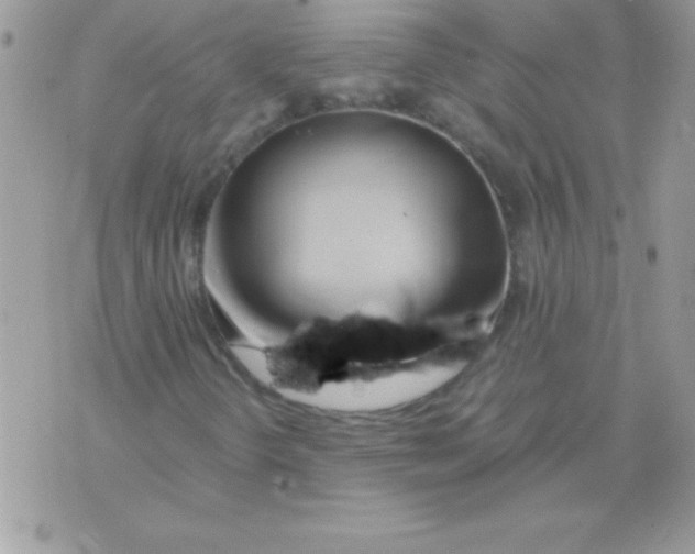 X0000071381298200607212202