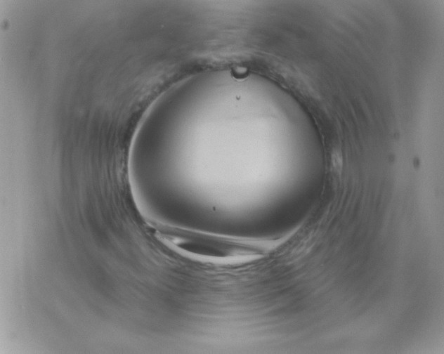 X0000071381300200607212202