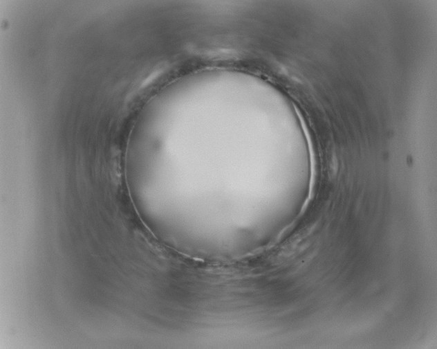 X0000071381301200607212202