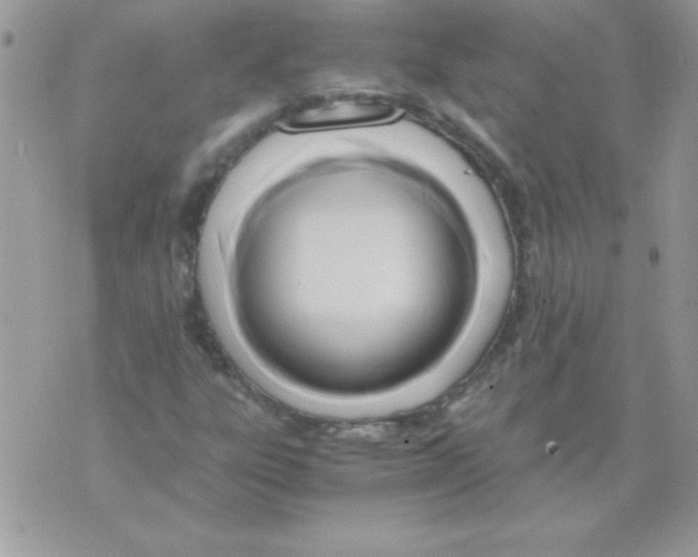 X0000071381303200607212202