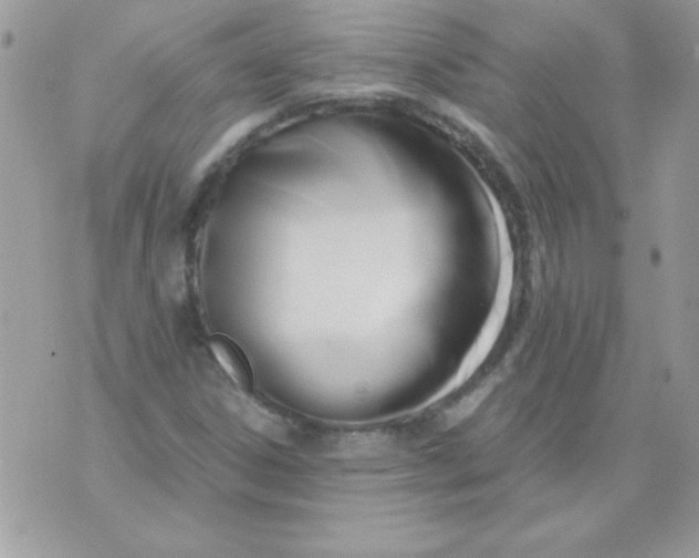 X0000071381306200607212202