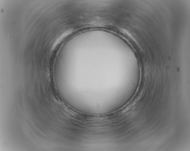 X0000071381307200607212202