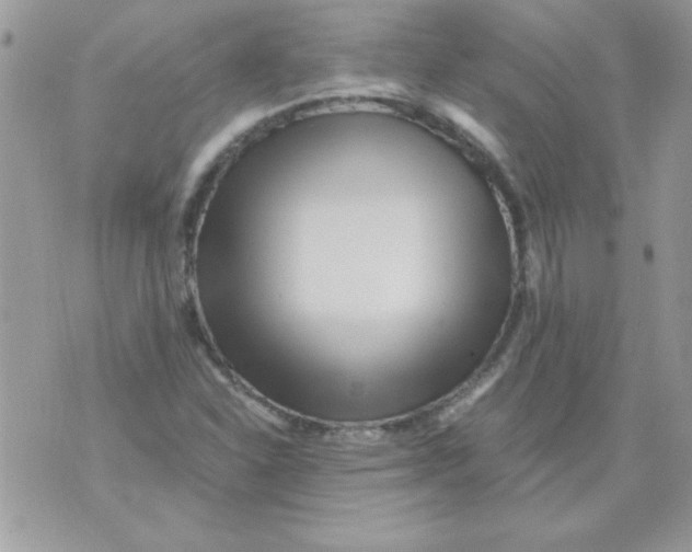 X0000071381310200607212202