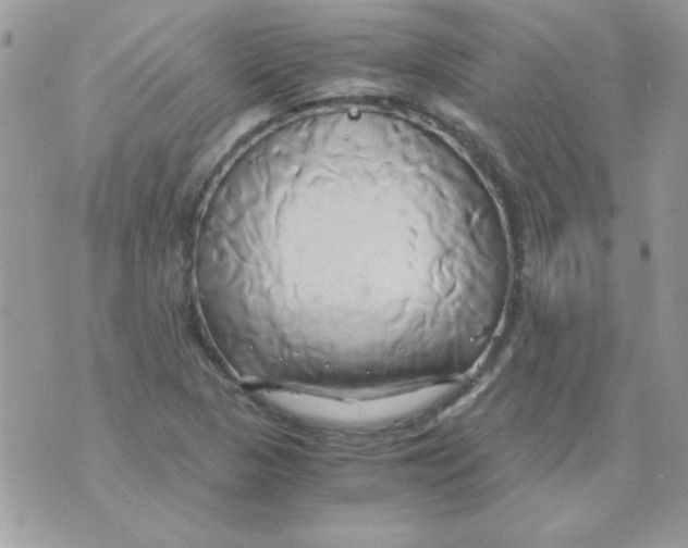 X0000071381313200607212202