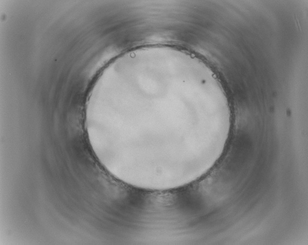 X0000071381314200607212202