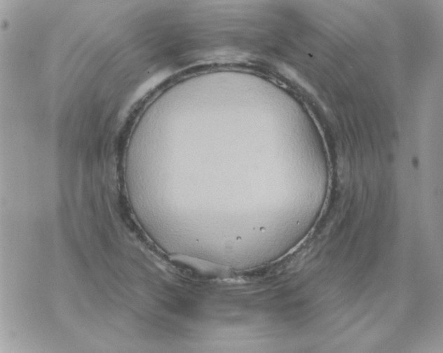 X0000071381315200607212202