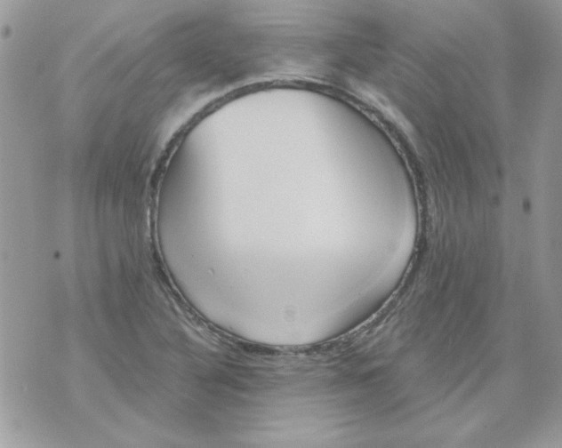 X0000071381316200607212202