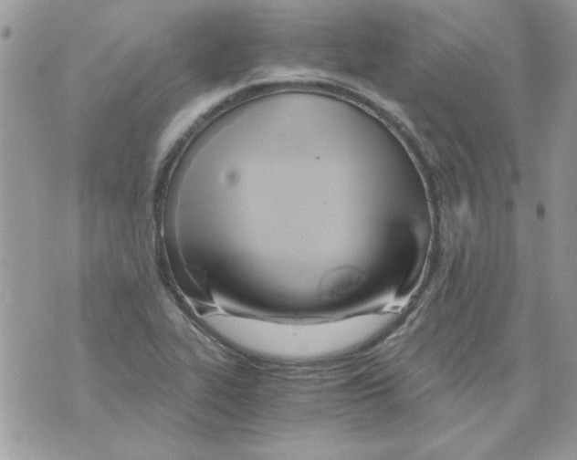 X0000071381319200607212203