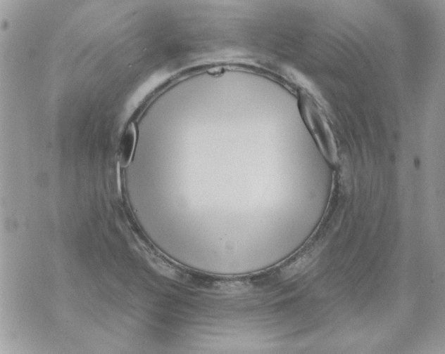 X0000071381320200607212203