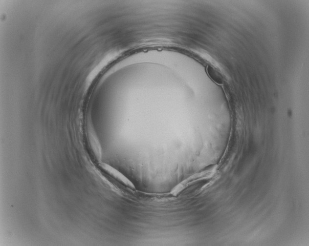 X0000071381325200607212203