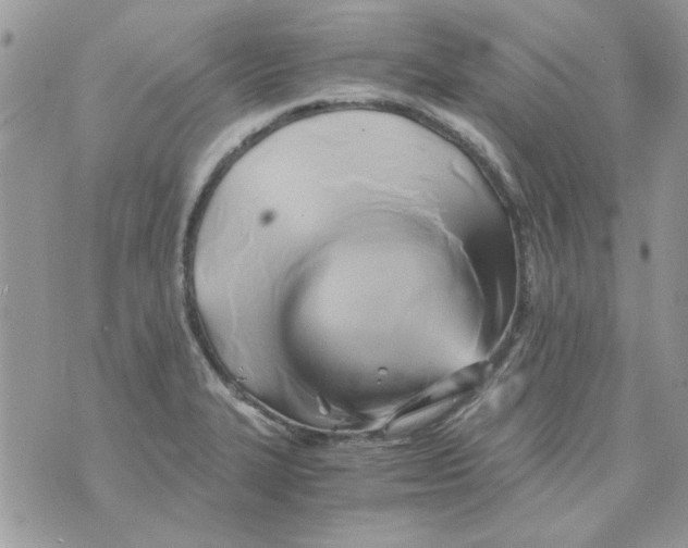 X0000071381327200607212203