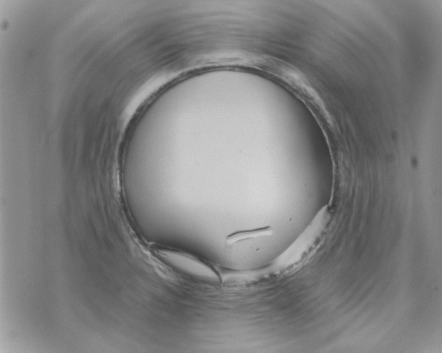 X0000071381328200607212203