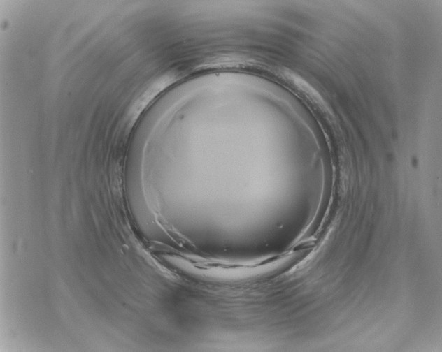 X0000071381329200607212203