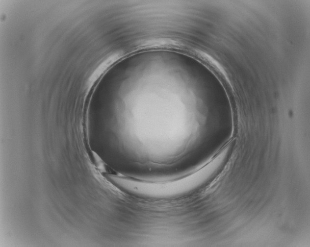 X0000071381330200607212203