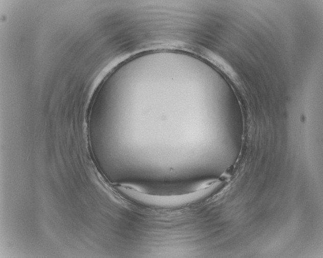 X0000071381332200607212203