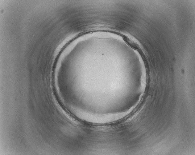 X0000071381333200607212203