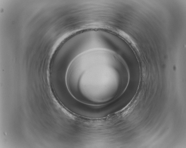 X0000071381334200607212203