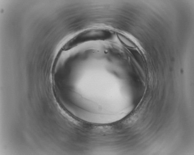 X0000071381335200607212203