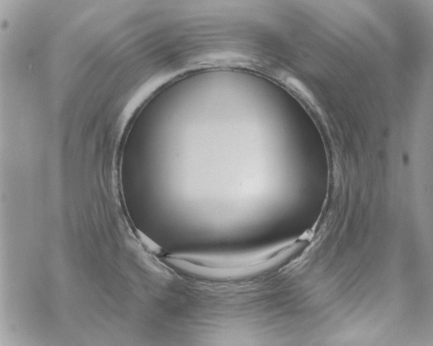 X0000071381336200607212203