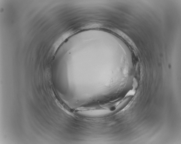 X0000071381337200607212203