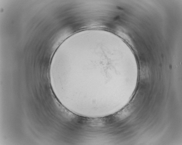 X0000071381338200607212203