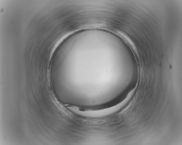 X0000071381340200607212203