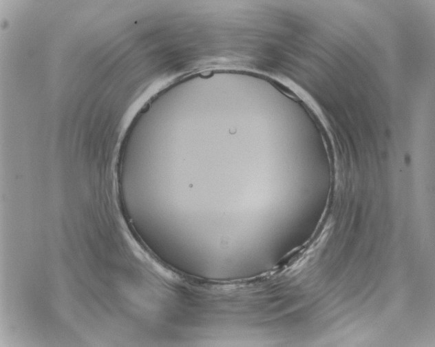 X0000071381341200607212203