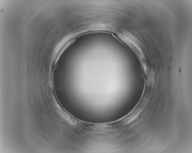 X0000071381342200607212203