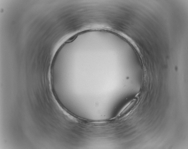 X0000071381343200607212203