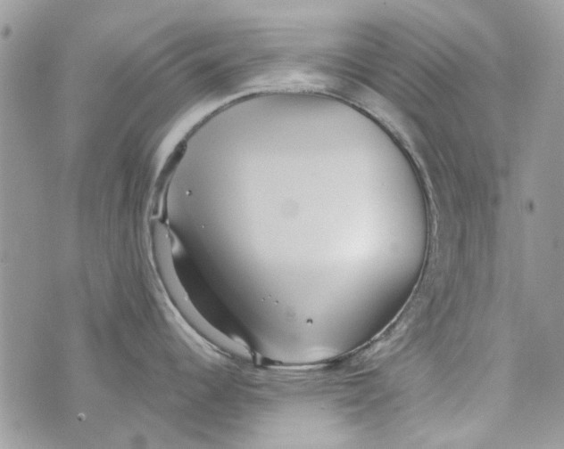 X0000071381344200607212203