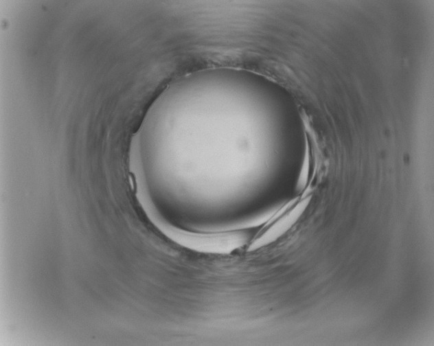 X0000071381345200607212202