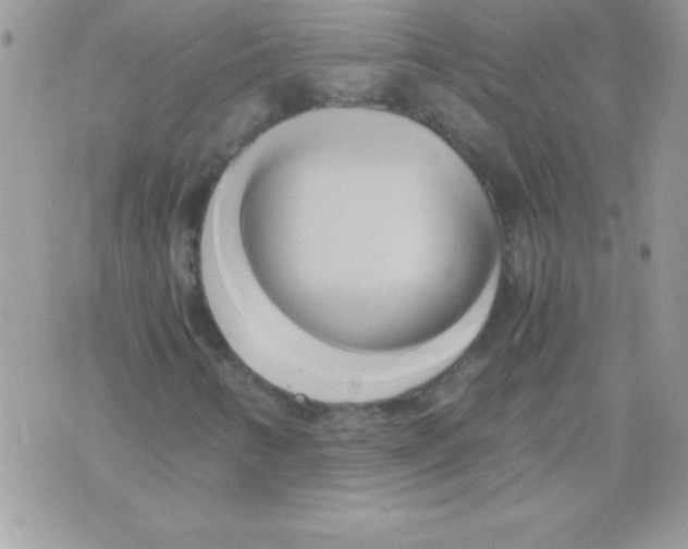 X0000071381346200607212202