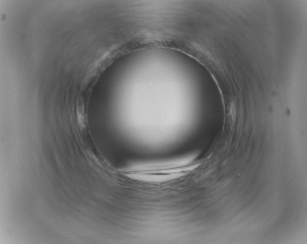 X0000071381348200607212202