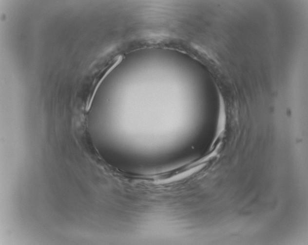 X0000071381349200607212202