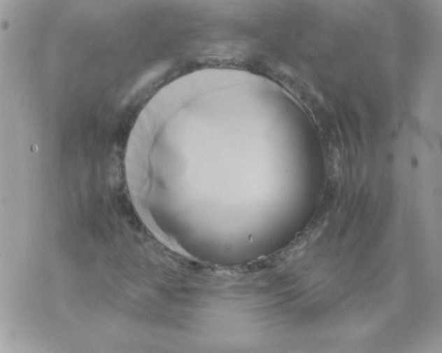 X0000071381350200607212202