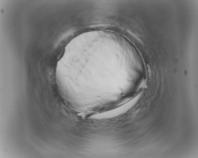 X0000071381351200607212202