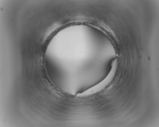 X0000071381352200607212202