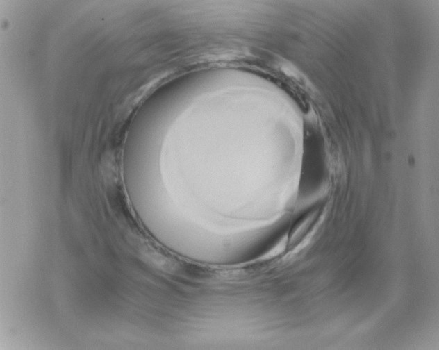 X0000071381353200607212202