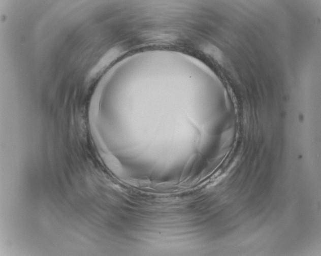 X0000071381354200607212202