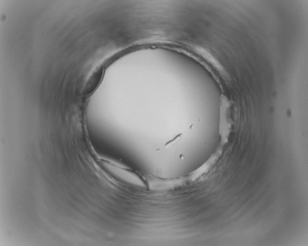 X0000071381356200607212202