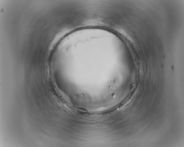 X0000071381358200607212202