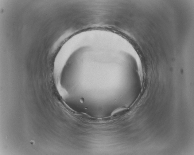 X0000071381359200607212202