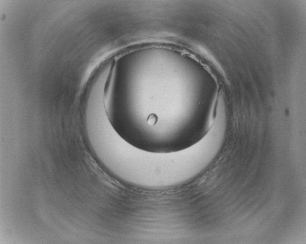 X0000071381360200607212202